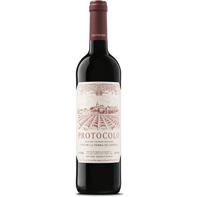 PROTOCOLO TINTO 2021 - PROTOCOLO