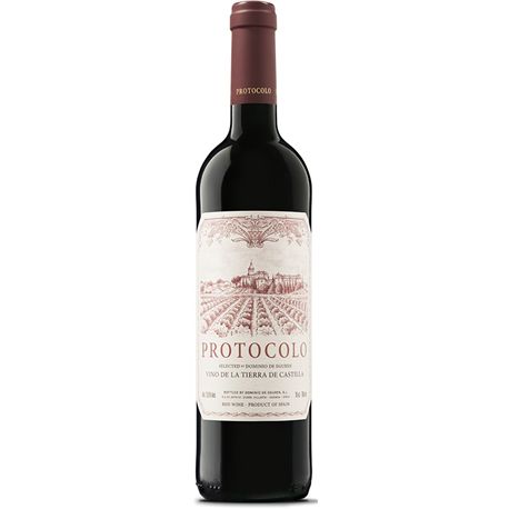 PROTOCOLO TINTO 2021 - PROTOCOLO