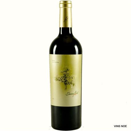 JUAN GIL 4 MESES 2021 - 01123 JUANGIL4M