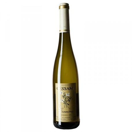 GESSAMI 2025 - 010264 GRAMGESSAMI