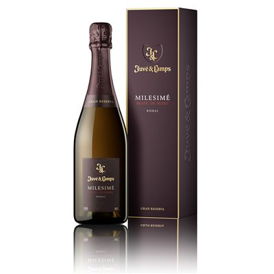 JUVÉ Y CAMPS BLANC DE NOIRS 2020