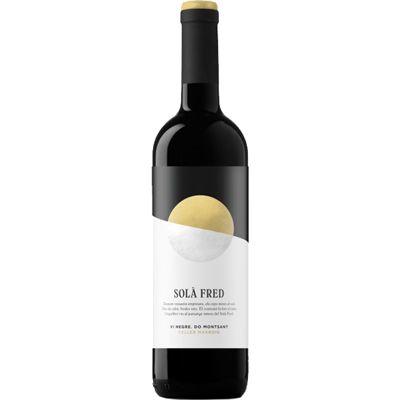 SOLA FRED NEGRE 2024
