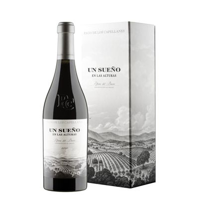 UN SUEÑO EN LAS ALTURAS 2021 PAGO CAPELLANES - 0117117 UN SUEÑO