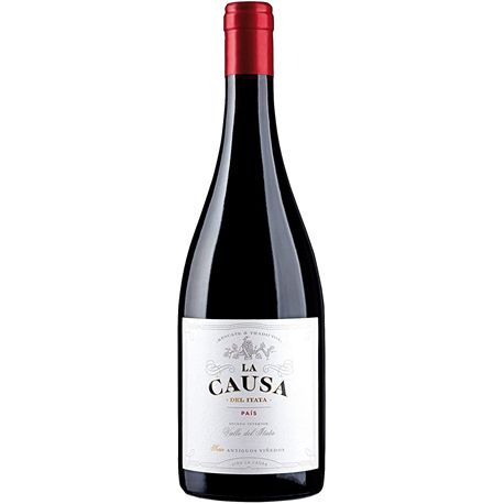 MILLAPOA PAÍS VALLE DEL BIO BIO - CAUSA-PAIS