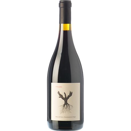 PSI 2023 - 011725 PSI